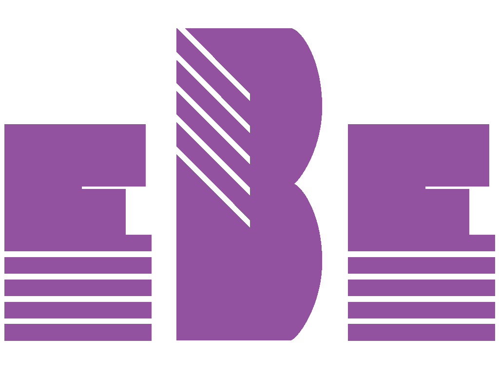 EBE - Professionelle Energieberatung
